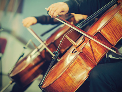 Violoncello